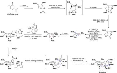 Aconitine and its derivatives: bioactivities, structure-activity relationships and preliminary molecular mechanisms